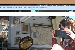 新版二级域名分发平台源码+带教程/界面很可爱