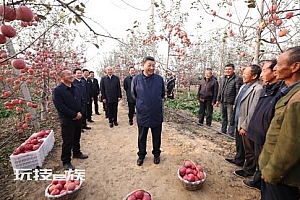 主席在陕西延安和河南安阳考察时强调 全面推进乡村振兴 为实现农业农村现代化而不懈奋斗