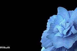 蓝色花瓣vivo平板电脑图片