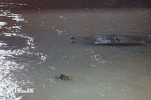 中国水下考古又一大发现:犹如“时空胶囊”