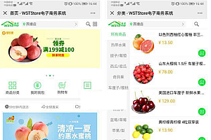 商淘连锁便利店、水果店、百货店管理系统 源码