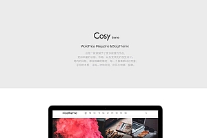 WordPress主题-素材下载站、资源站、多功能主题Cosy破解版
