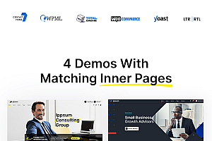 Ippsum v1.0.7 – 商业咨询主题