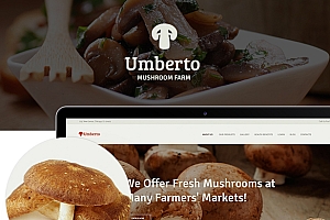 Umberto v1.2.2 – 蘑菇农场和有机产品商店 WordPress 主题