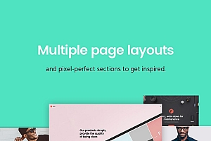 Fildisi v2.3.8 – 响应式多功能 WordPress 主题
