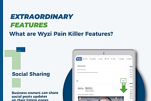 Wyzi v2.4.5 – 业务查找器和服务提供商预订 WordPress 社交外观目录列表主题