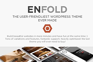Enfold v5.2 – 响应式多功能主题