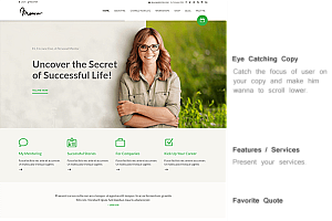 Mentor v2.3.2 – 个人发展教练 WordPress 主题