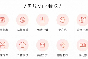 网易云会员可以给几个人用 网易云音乐会员可以共享吗