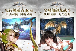 龙魂之剑一键架设源码下载