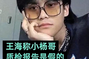 王海称小杨哥质检报告是假的,合肥质检研究院回应