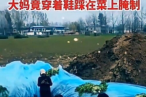 安徽一地村民腌制酸菜时穿鞋踩踏 餐馆店主:腌的多的不敢要