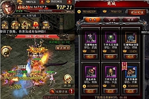 【天羽飞扬H5源码】附带安装视频教程+GM工具