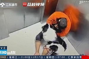 男子酒后遛狗瘫坐电梯 狗绳被夹电梯缝致狗死亡