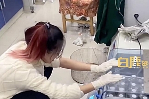 实验用菌不生长被研究生怒批 网友:还有更惨的