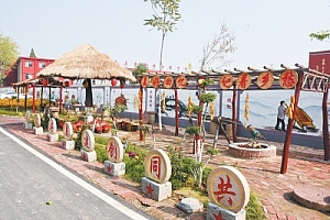 汝南县学习贯彻二十大精神 建设乡村振兴示范带引领乡村蓬勃大发展