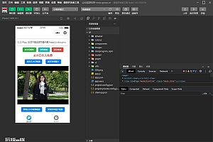 短视频去水印和图片加水印生成微信小程序源码