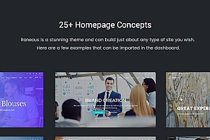 Roneous v1.9.2 – 创意多用途 WordPress 主题
