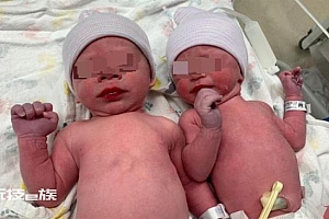 美一冷冻30年胚胎被孵化诞生双胞胎 冷冻胚胎是什么意思