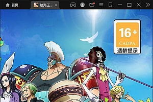 换皮SS手游【航海王伟大航路源码】安卓+GM后台