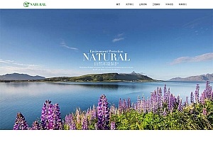 节能环保类企业网站源码-织梦dedecms模板