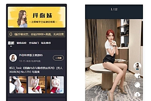 wordpress靓图库模板抖你妹原版主题源码