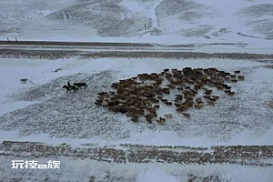 北疆牧民转场时在1米深积雪里迷路 最低气温-48.6℃