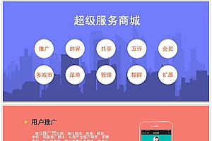 超级服务商城1.78.41商业版源码
