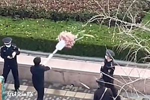 城管暴力将商贩糖葫芦扔进绿化带,官方回应:确有此事