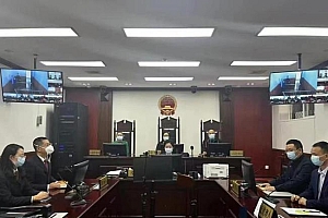 女童母亲安摄像头取证 男家教猥亵10岁女童被判终身禁业