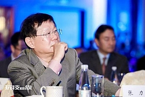 张力被捕后1.29亿天价保释金是怎么来的 越富越贵