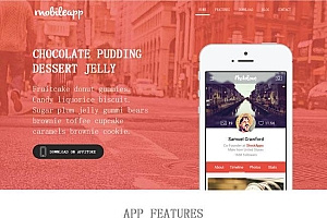 苹果APP软件企业模板源码