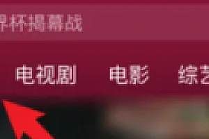 世界杯回放在线观看平台 2022世界杯回放在哪个app看