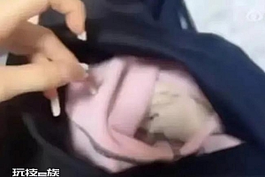 女子网购鲨鱼裤发现里面有条内裤:可申请2元补偿