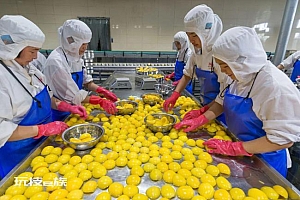 山东地方镇黄桃罐头订单暴涨 企业:平常心平常心