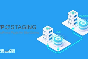 WP Staging Pro v4.2.10 汉化版 WordPress网站复制克隆插件