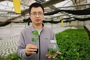 多地试水职业农民评职称 农业专家振兴乡村经济