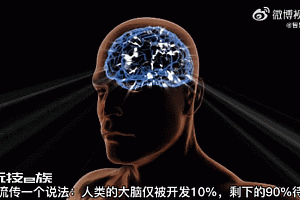研究称成人大脑中有大量静默突触:大脑的神奇十点