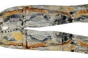 沉船捞出165年前牛仔裤80万卖出 很可能产自李维斯