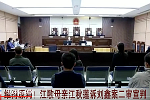 江歌母亲诉刘鑫案二审维持原判  案件暂时告一段落
