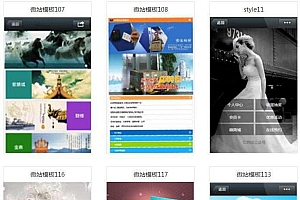 100套微赞(微官网精华模板源码合集下载