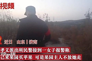 山东女子带亲友开车10公里偷苹果 连续三次偷苹果