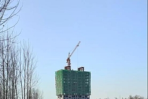 河南商丘虞城芒种桥乡麦田“长出”十层高楼 滨和景苑名回迁安置房实则