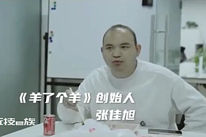 羊了个羊创始人没想到仨月赚20万 曾一度走投无路