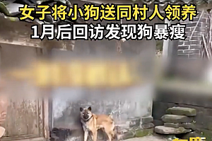 女子送狗给老人1月后发现骨瘦如柴 小狗被抱的时候好乖