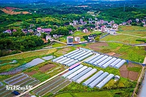 河南省财政厅:提前下达2023年度中央财政衔接推进乡村振兴补助资金60.8亿元