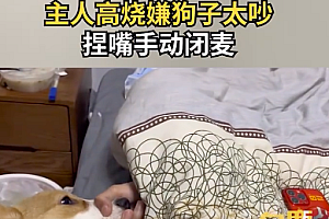 主人高烧嫌狗子太吵捏嘴手动闭麦!狗子:你等着!你松开了的!