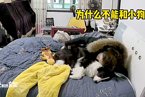 一下就把上班的痛苦转移了