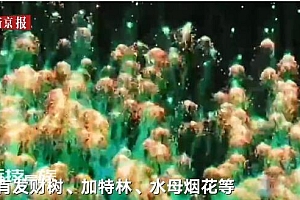 冬至仪式满满:湖南浏阳全城燃放烟花 网友:羡慕我说累了!