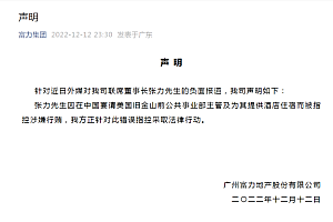 中国地产富豪在英被捕 被控涉嫌行贿 富力紧急回应